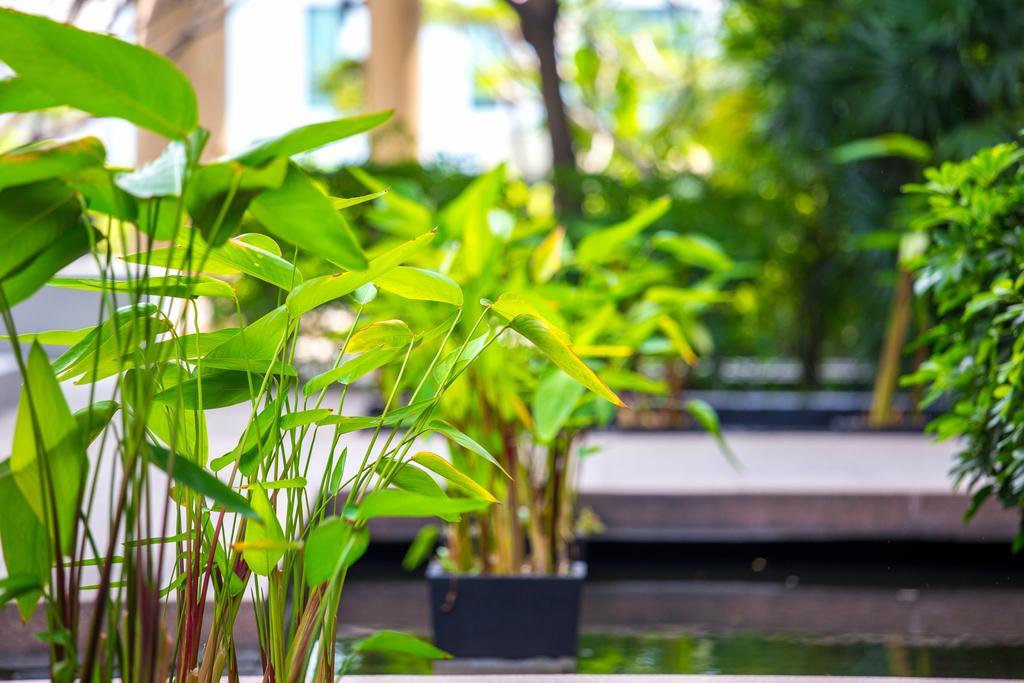 The Capital Resort @ Sukhumvit 50 Bangkok Kültér fotó Plants in a water garden